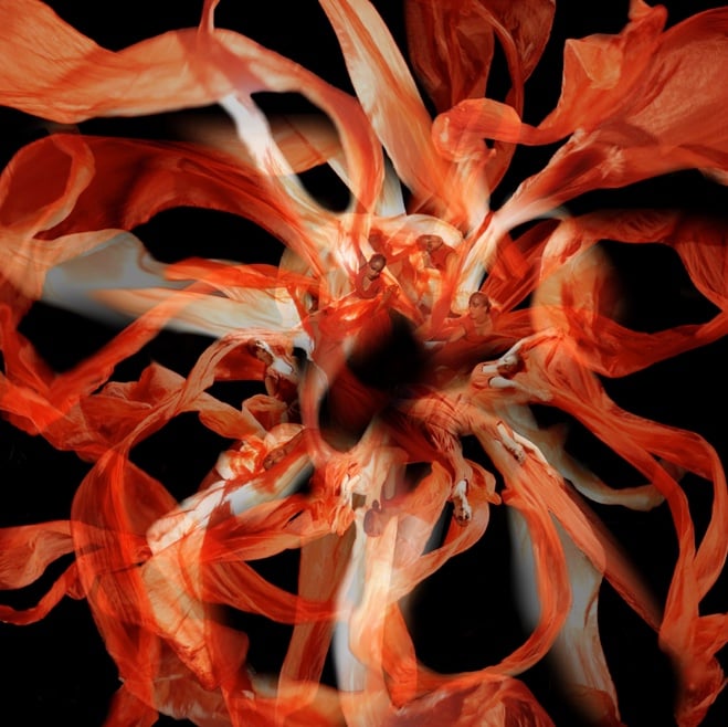 Samsara: The Cycle of Life