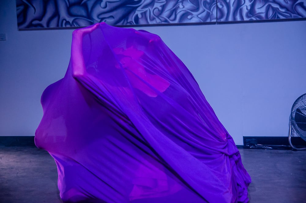 Exhibitions & Performances